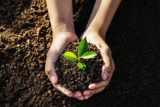 Gemeinsam schützen wir den Planeten am Earth Day