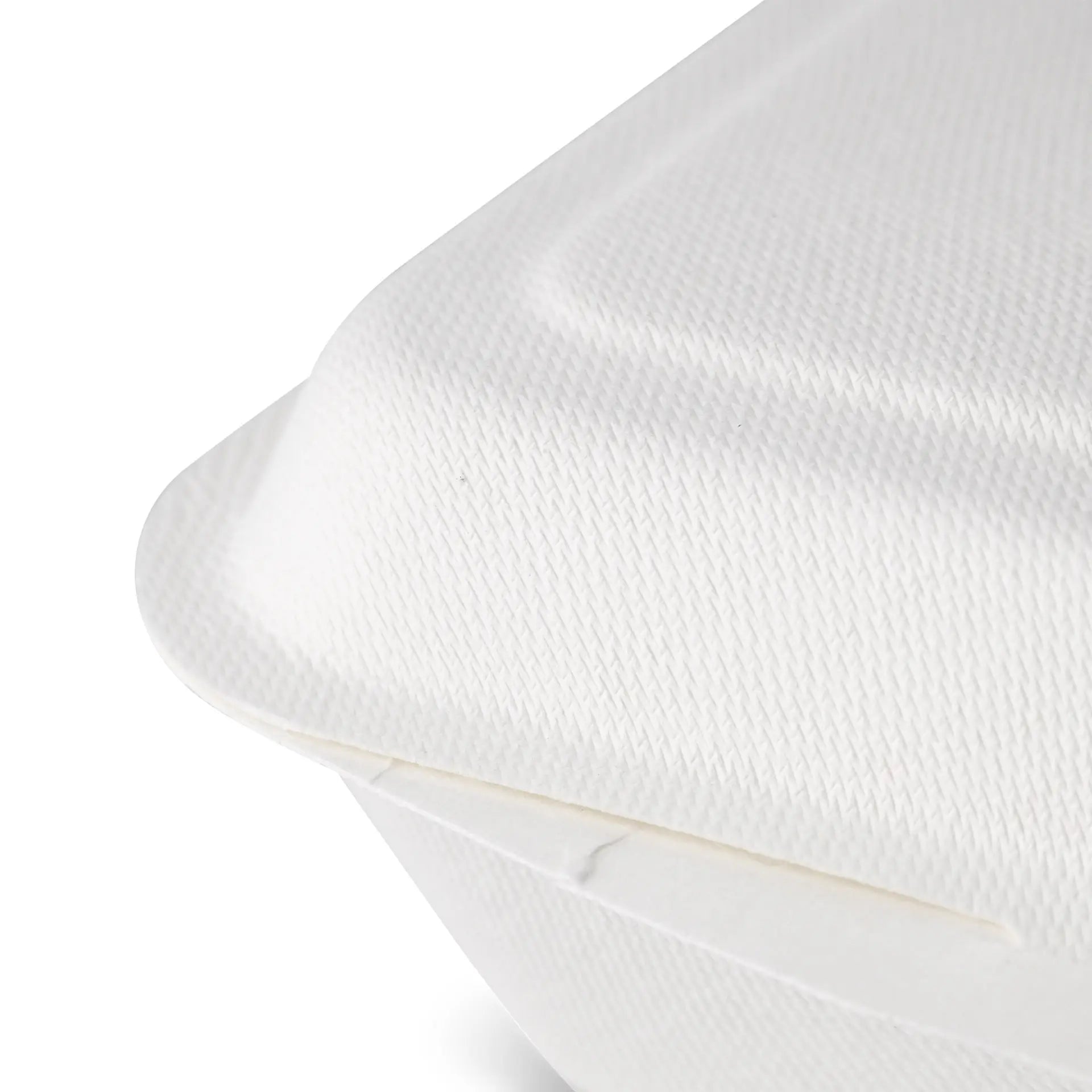 Sugarcane food containers 18.5 x 13 x 6.5 cm, hinged-lid, rectangular