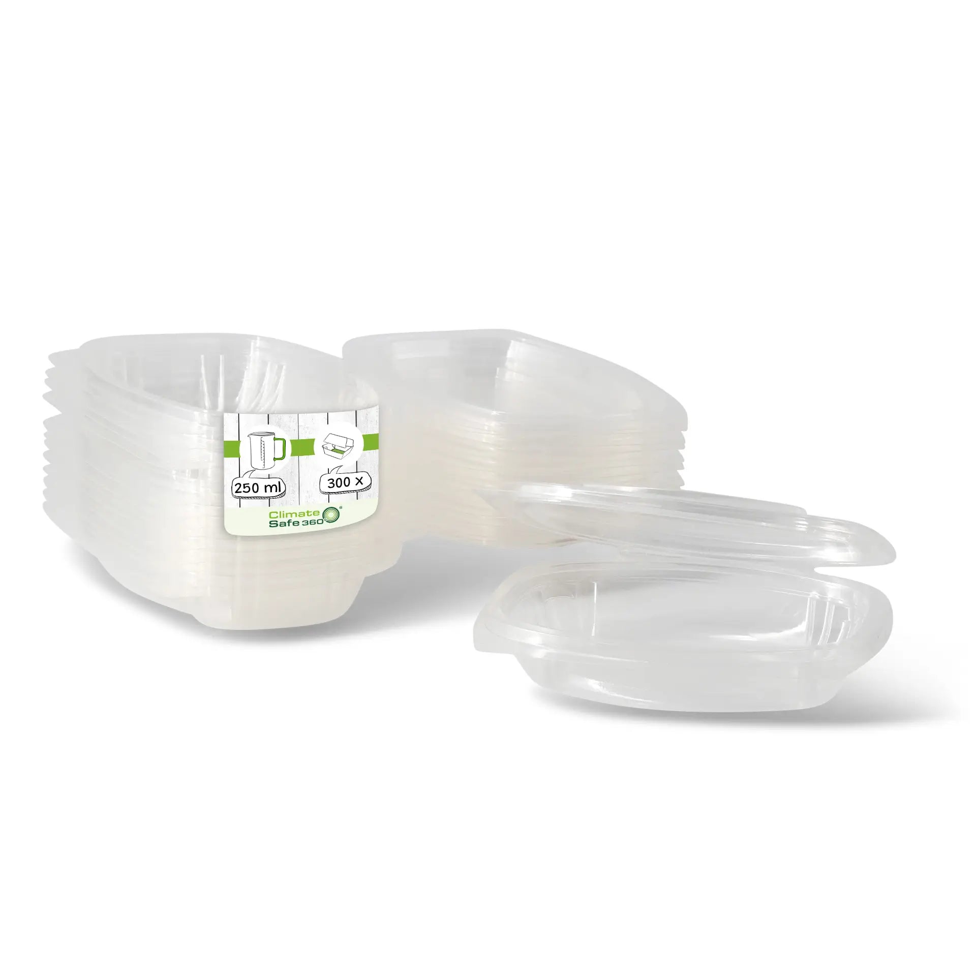 PLA Deli Bowls 250 ml, folding lid, rectangular