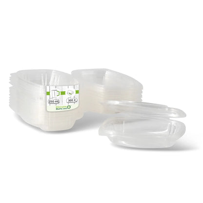 PLA Deli Bowls 250 ml, folding lid, rectangular