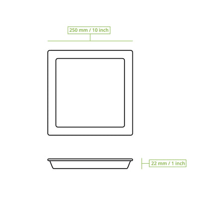 Palmblatt Teller "Palmware®" 25 x 25 cm, quadratisch