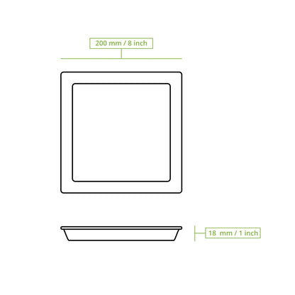 Palmblatt Teller "Palmware®" 20 x 20 cm, quadratisch